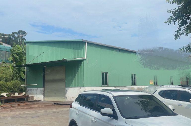 虎门镇新联原房东900平方实际面积出租 滴水7米