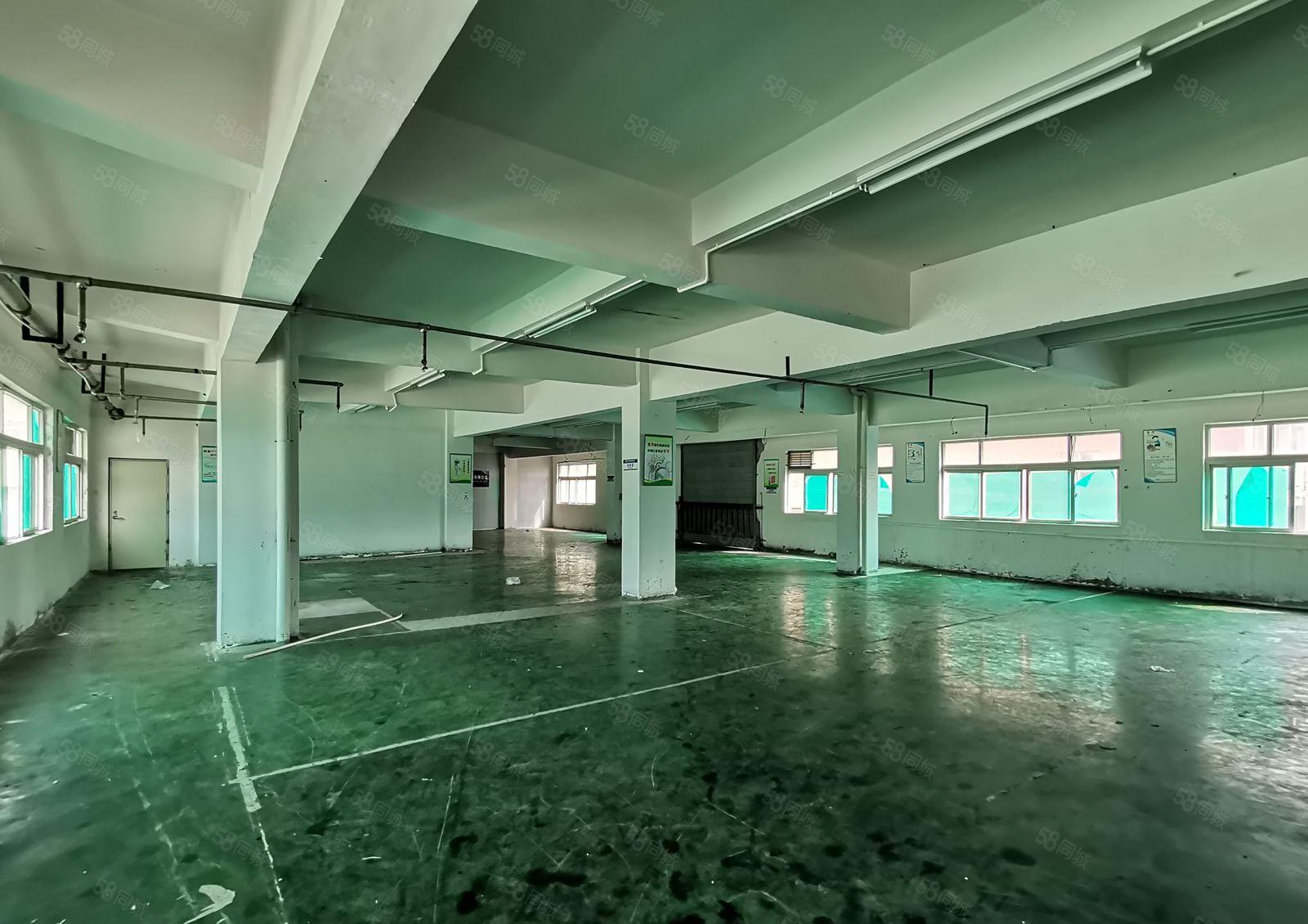 虎门树田靠长安附近楼上550平带装修 办公室水电齐全