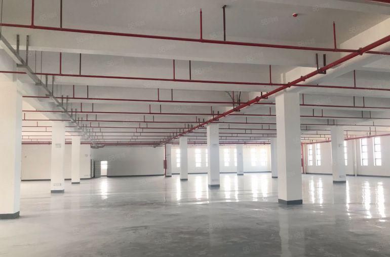 全新国有红本厂房，全新地坪漆有消防一楼层高7米，楼上5米