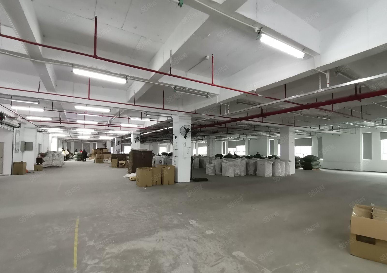 虎门新出独院2700平一层 带装修 可分租可整租