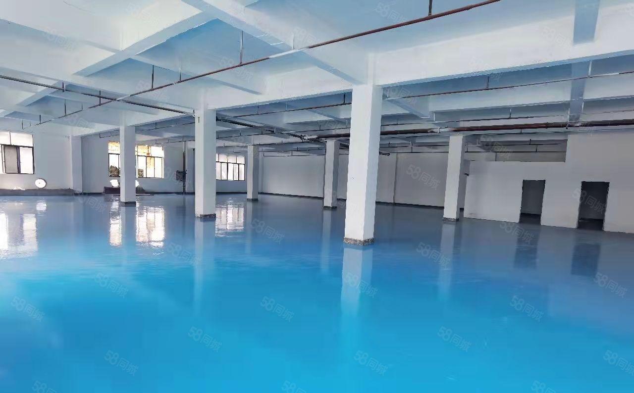 虎门镇龙眼工业区园区独栋厂房三层3000平米带装修可以分层租