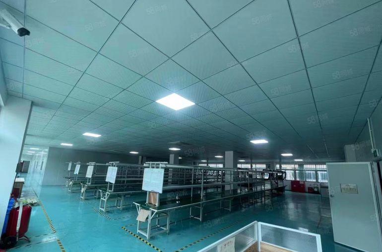 虎门南栅工业区全新精装修厂房出租，现成水电地坪漆拉线无转让费