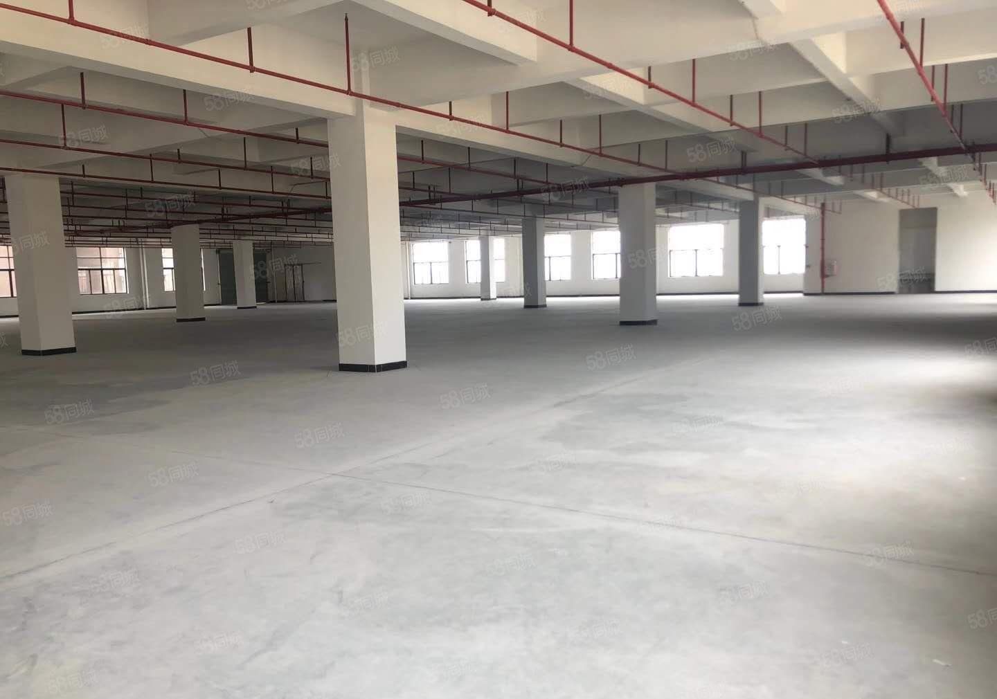 东风社区本地房东厂房出租，大小面积可以分