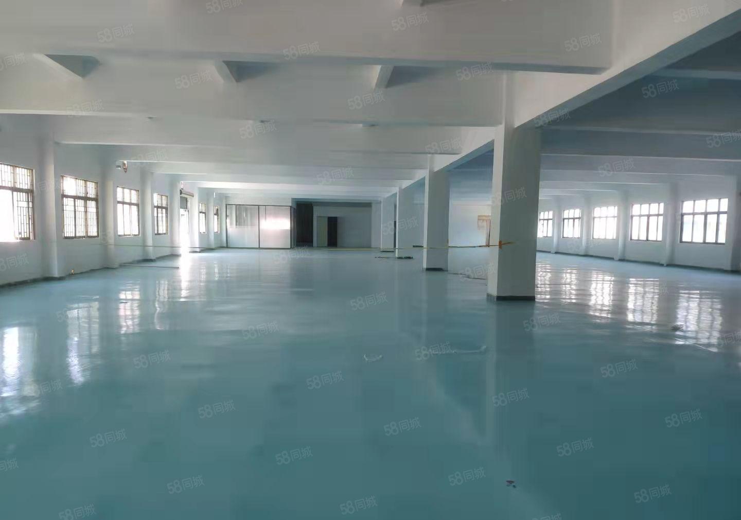 虎门南栅空出楼上2000平现成精装修厂房出租