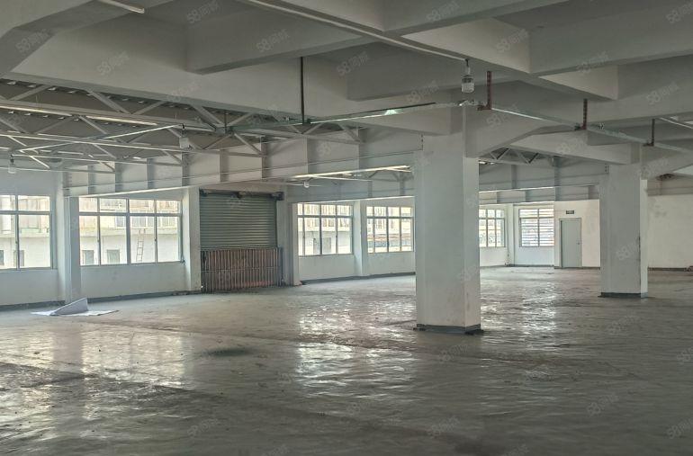 南栅原房东实际面积13出租