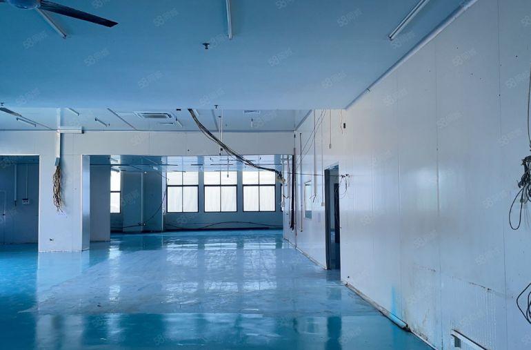 虎门镇树田新出带无尘车间厂房楼上2300平方