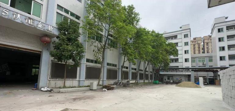 虎门雅瑶环莞快递出口新出一手业主独院5200平九成新