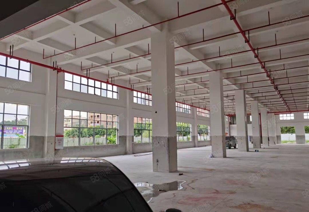 虎门新出标准厂房 形象好大车可进出 适合电子设备仓库