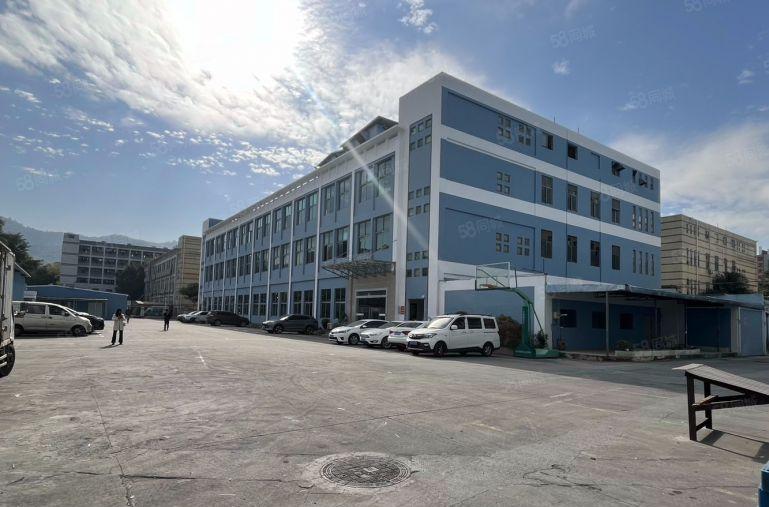 虎门本地原房东独门独院8000平精装装修办公室厂房出租可分租