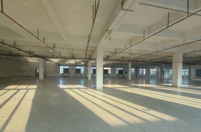 虎门原房东独门独院厂房出租空地超大形象漂亮工衣用地