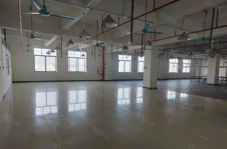 虎门万达边新空楼上精装修1650平厂房仓库出租，形象好水电全