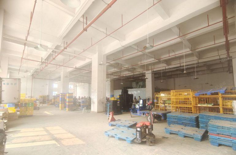 虎门镇南栅原房东分租7米高一楼1350平方厂房出租 可以分租