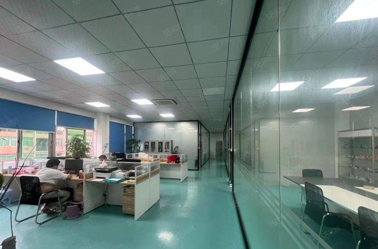 虎门南栅工业区全新精装修厂房出租，现成水电地坪漆拉线无转让费