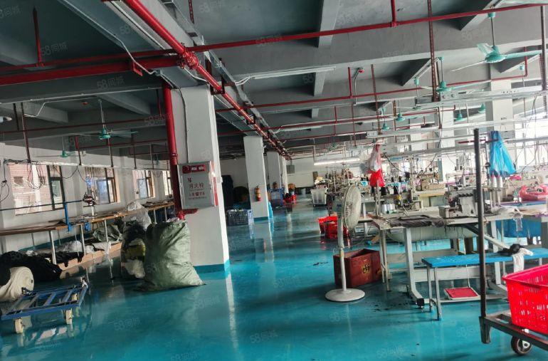 虎门北栅新出楼上带装修厂房1100方，有消防合格证，有红本