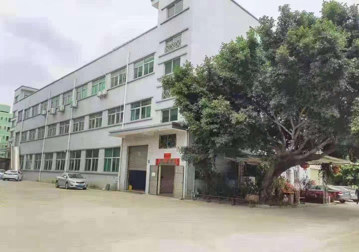 东莞市虎门镇新出独院7200平方厂房出租，可办环评！