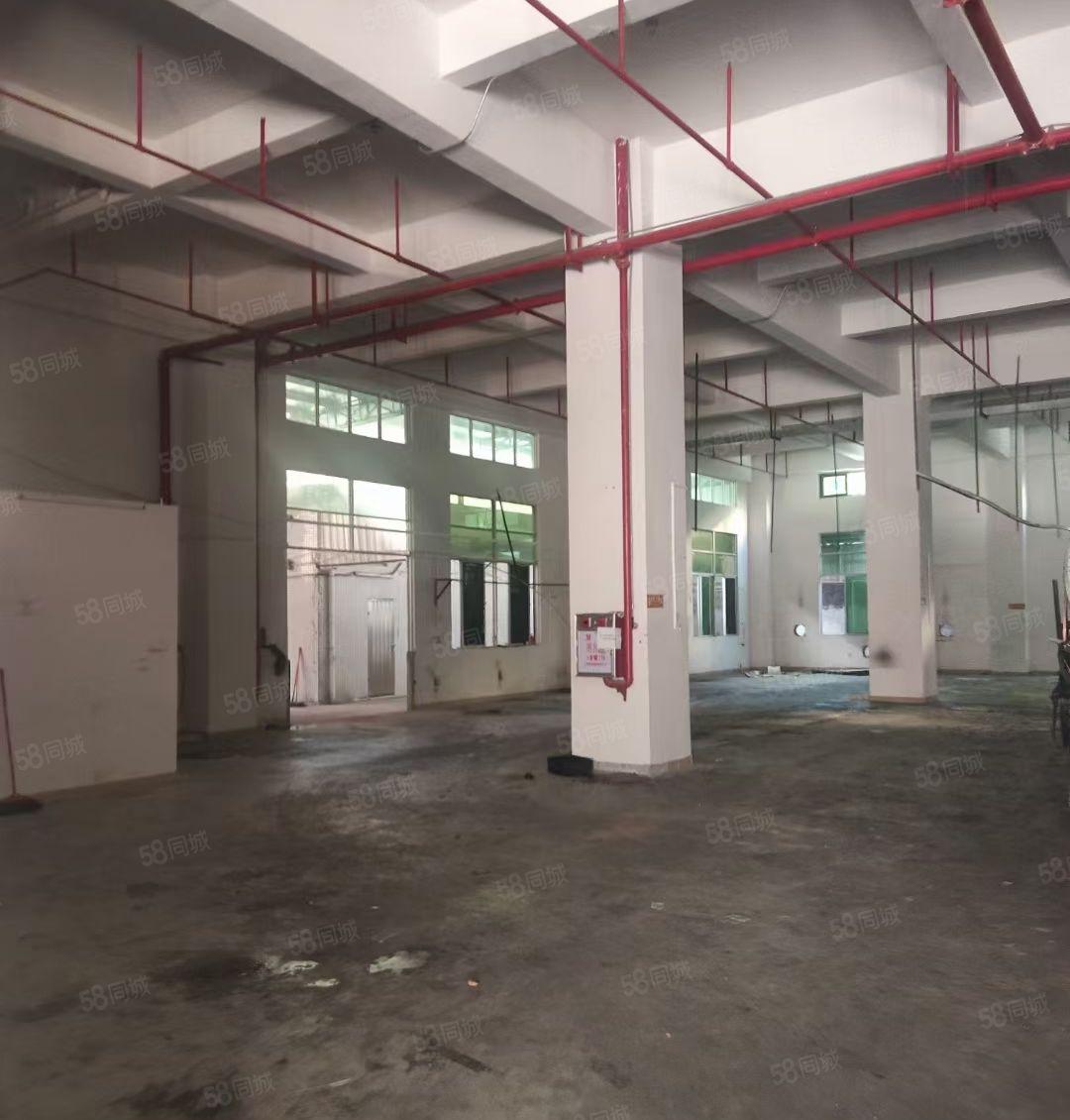 虎门怀德新出1楼1530平厂房  层高7米水电齐全带装修