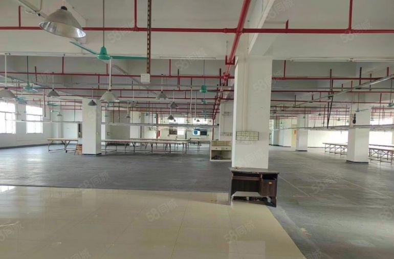 虎门万达边新空楼上精装修1650平厂房仓库出租，形象好水电全