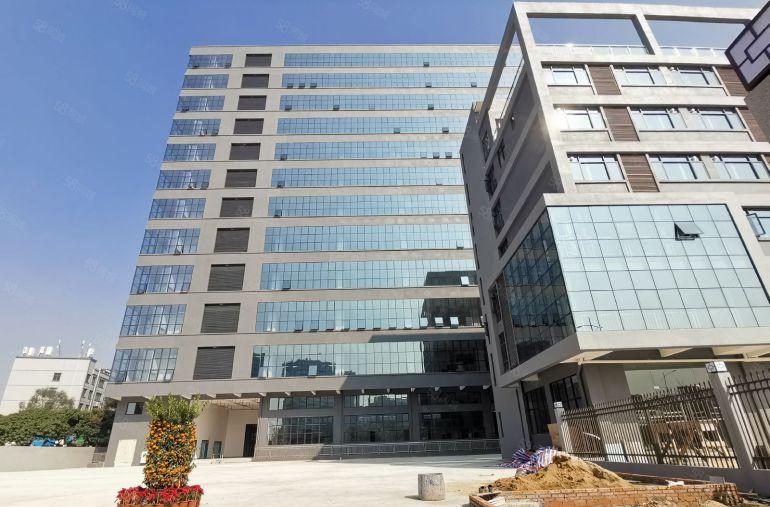 虎门镇新出全新标准厂房一楼