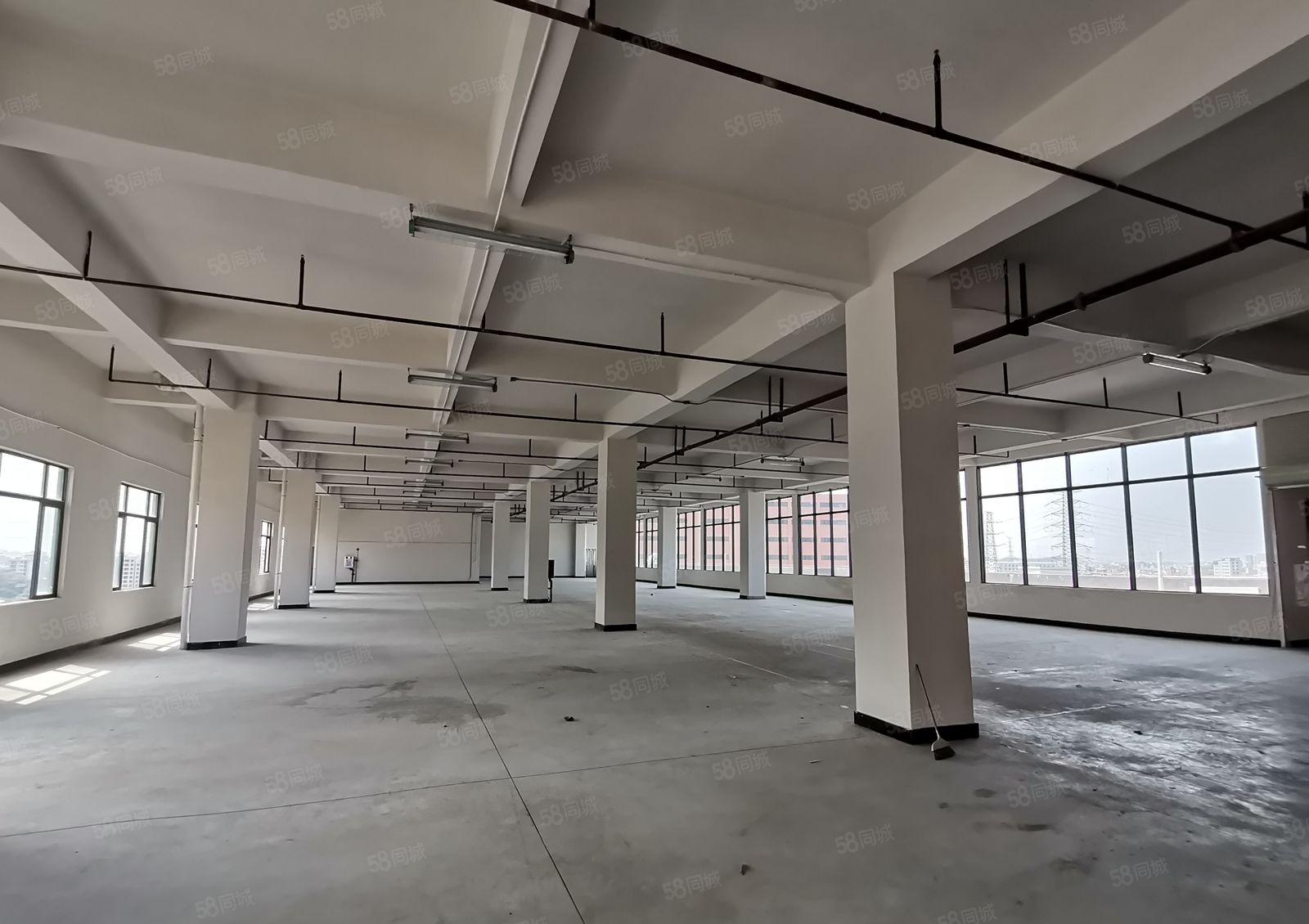 虎门怀德楼上1800平 2900平带装修厂房 可办环评