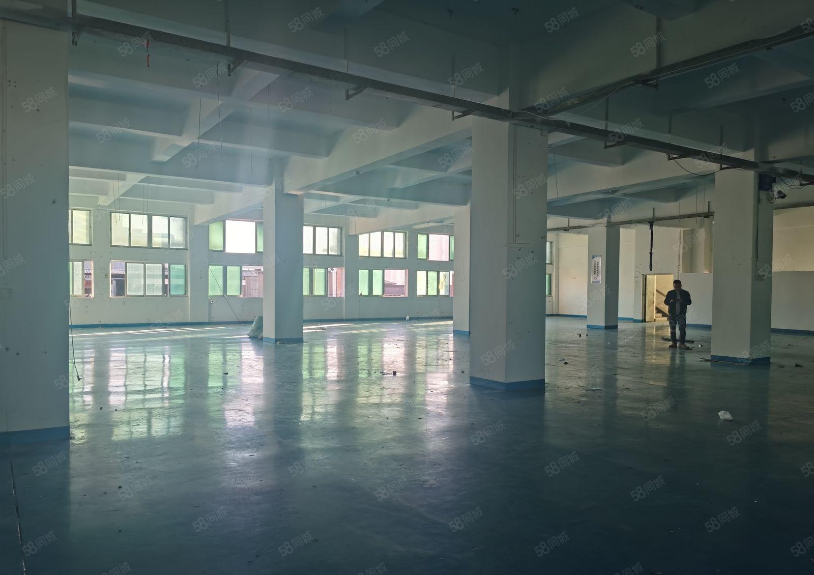 厂房出租虎门龙眼新出楼带办公室装修1800