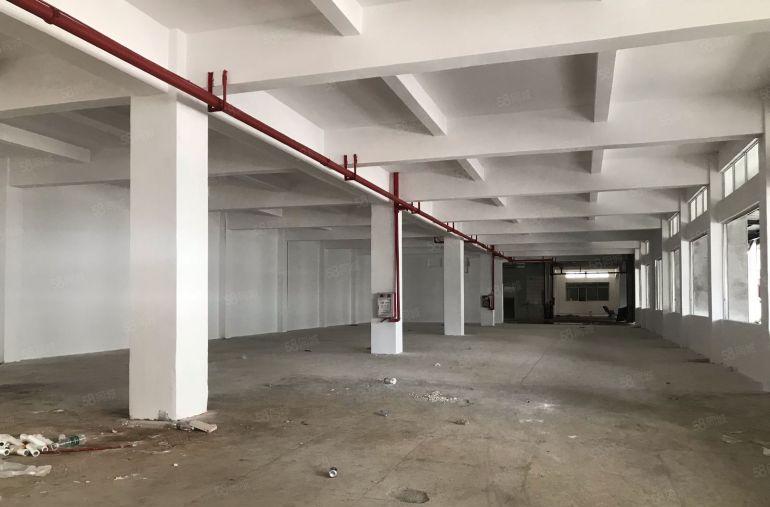 沿江高速旁虎门镇，南柵原房东独门独院厂房，带全新地坪漆