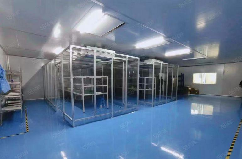 虎门新出原房东独门独院3000平方带红本精装修厂房可分租