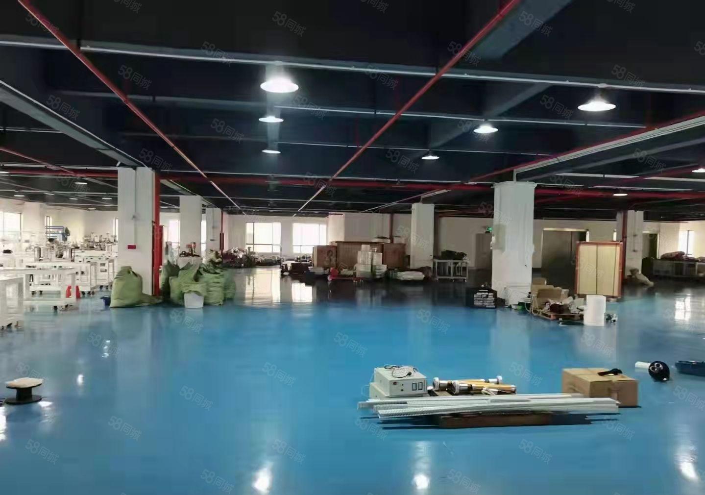 虎门怀德怀雅路新出租六楼，面积1700平方米