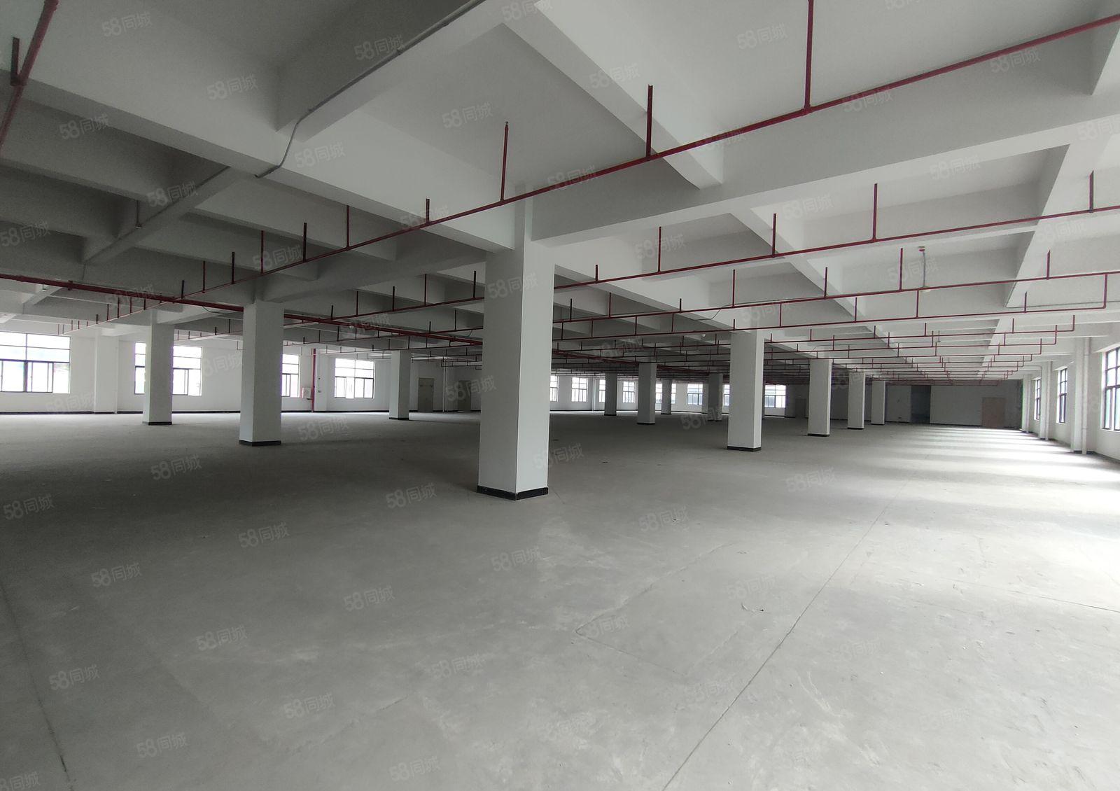 笋盘！虎门镇白沙二楼3580方花园式厂房出租现成消防喷淋