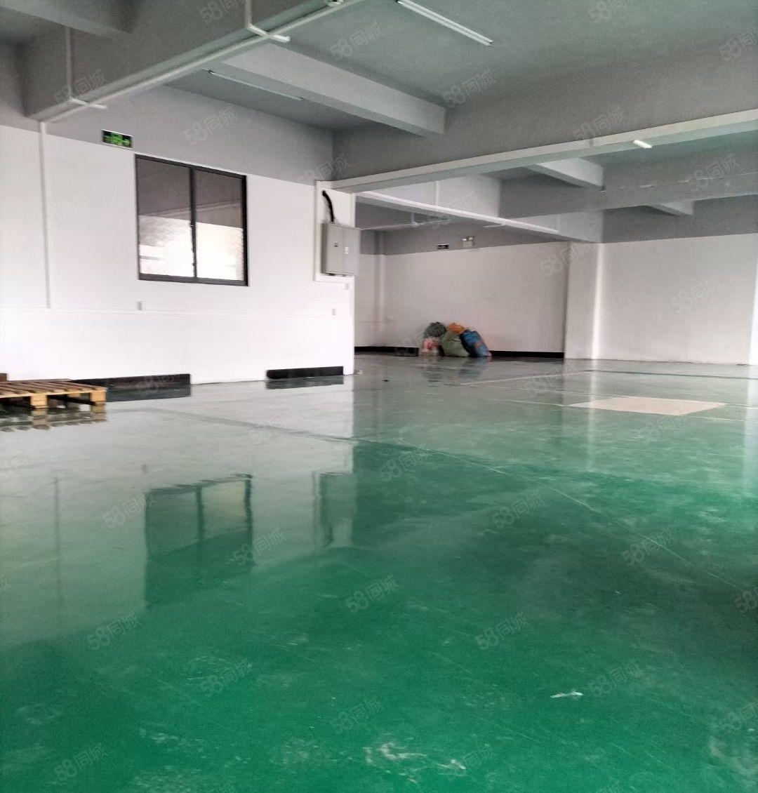 虎门白沙新空出原房东厂房4楼516平方 水电齐全！