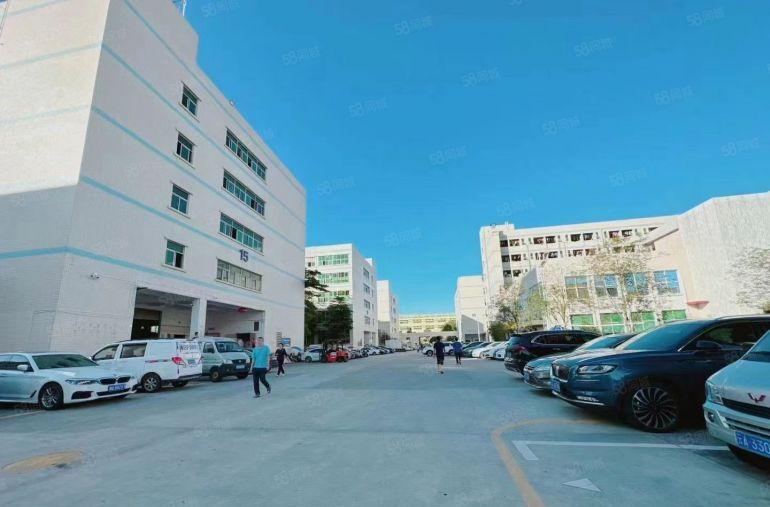 虎门镇赤岗社区楼上800平带红本，带消防喷淋低价厂房出租