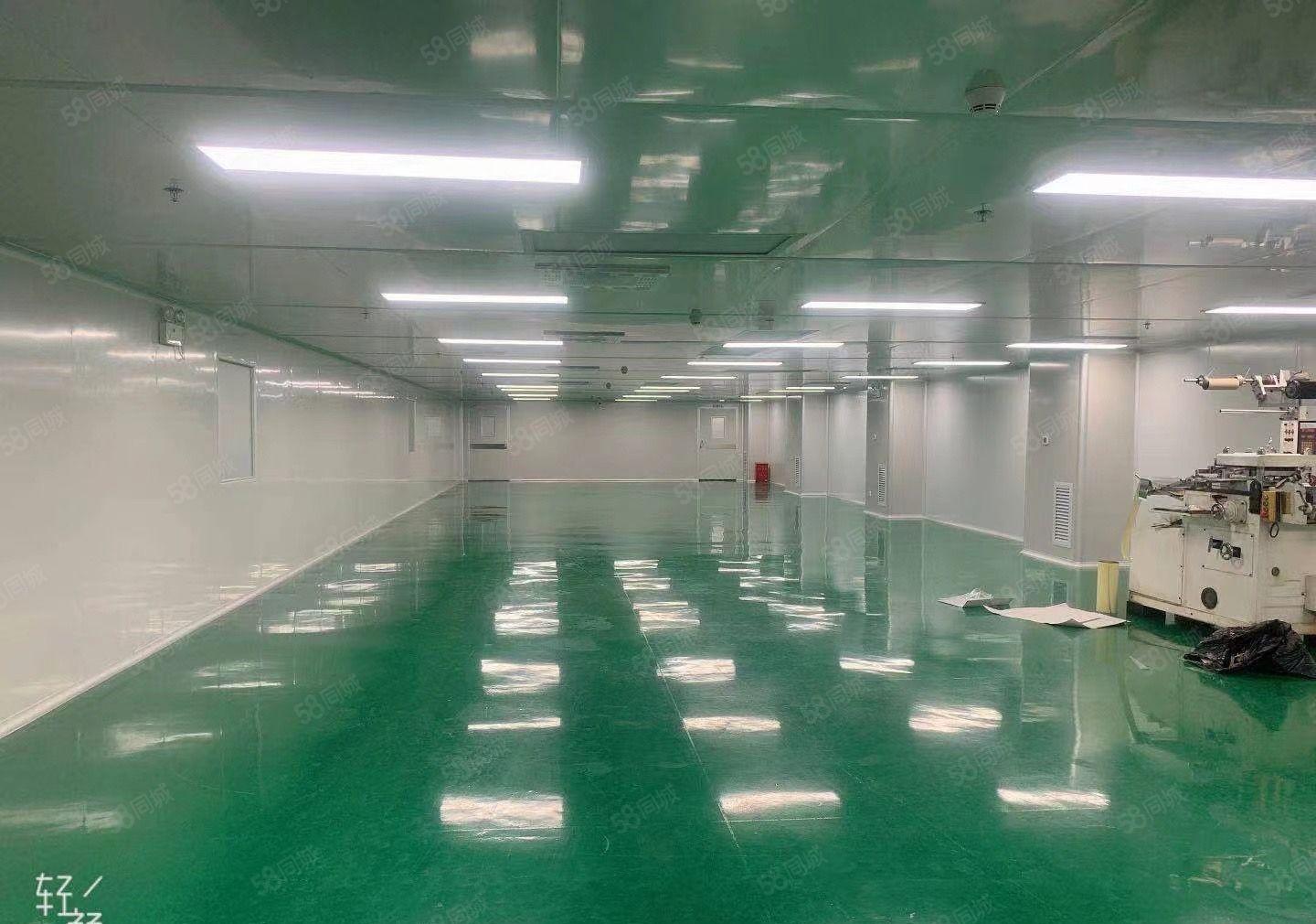 虎门无尘车间4500方厂房出租现成装修空调无转让费合同十年