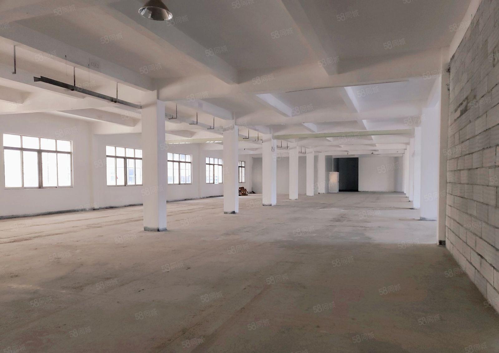 免两个月装修期！虎门独门独院全新翻新有宿舍可办环评可整租分租