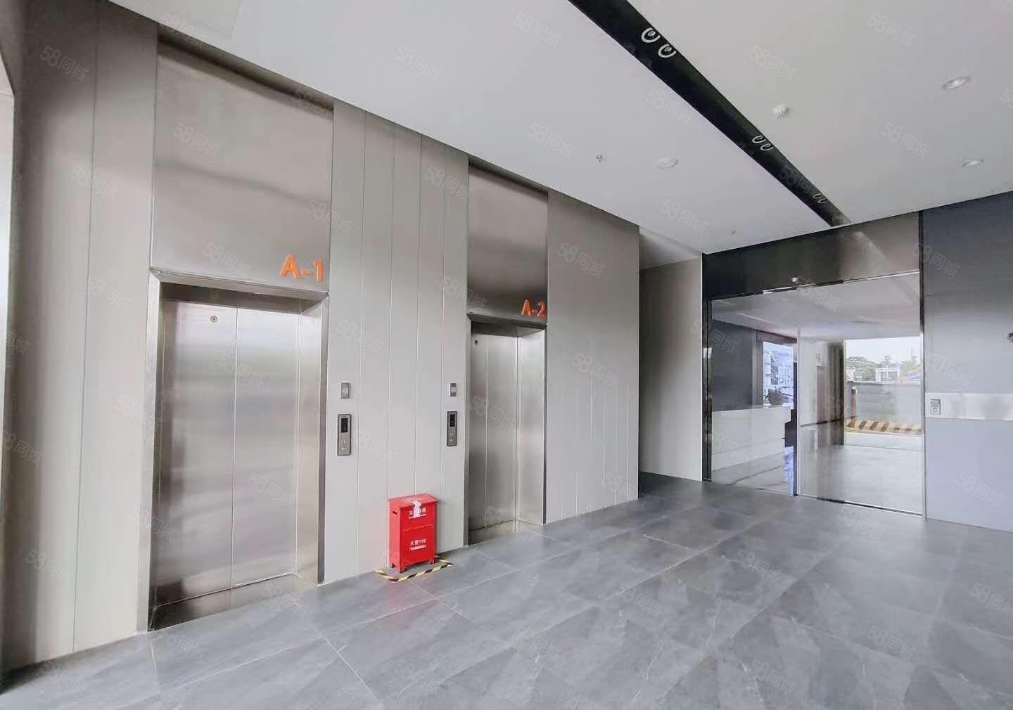 赠！免租期 虎门标准厂房 大小面积随意分租 临高速出口 红本