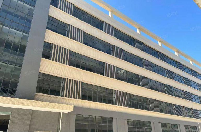 虎门树田社区新出原房东2000平带消防喷淋，低价厂房出租