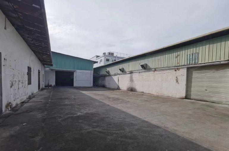 虎门原房东单一层钢结构独院厂房仓库低价出租2500平方可分租