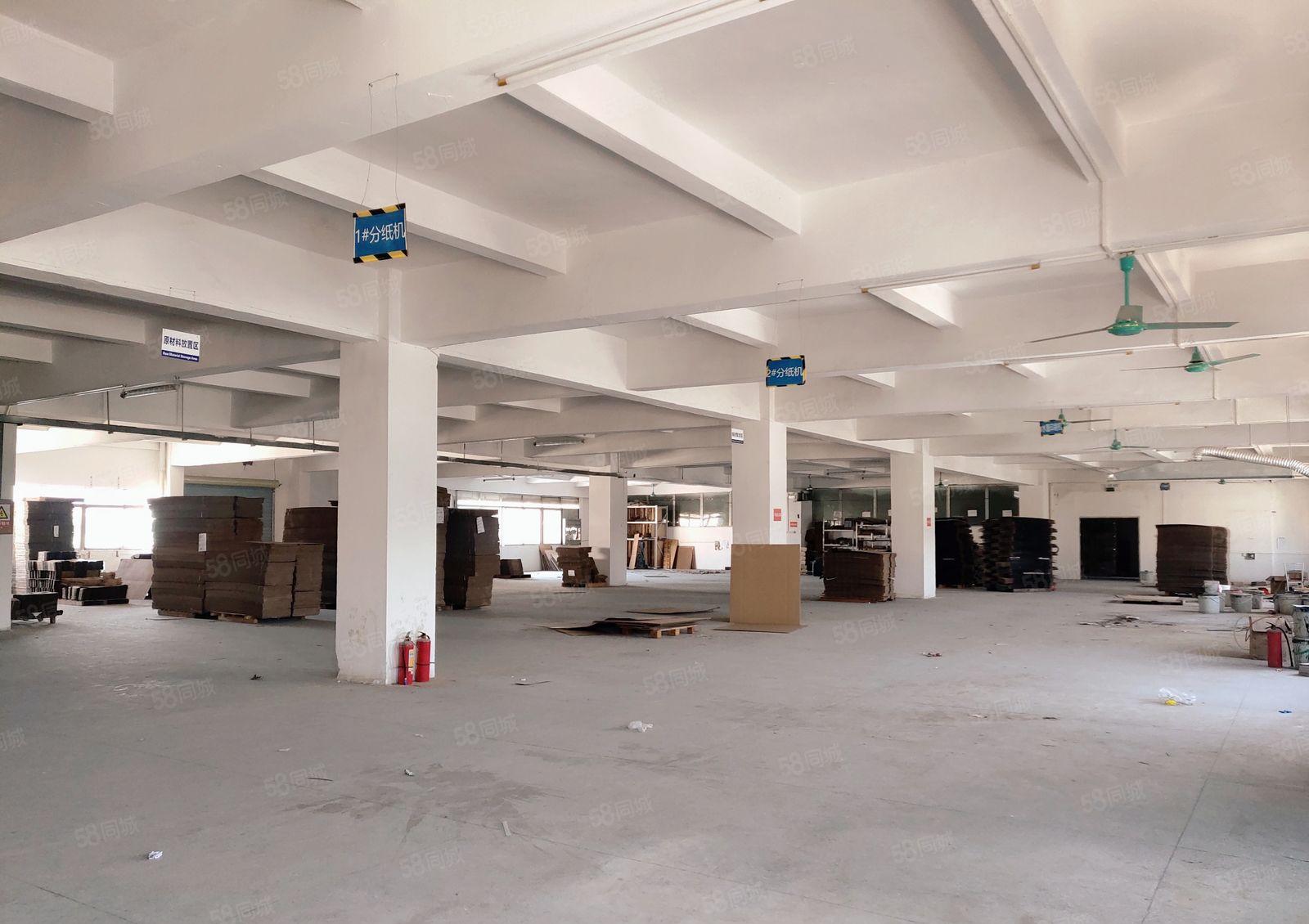 虎门独门独院花园式标准厂房出租，可分租