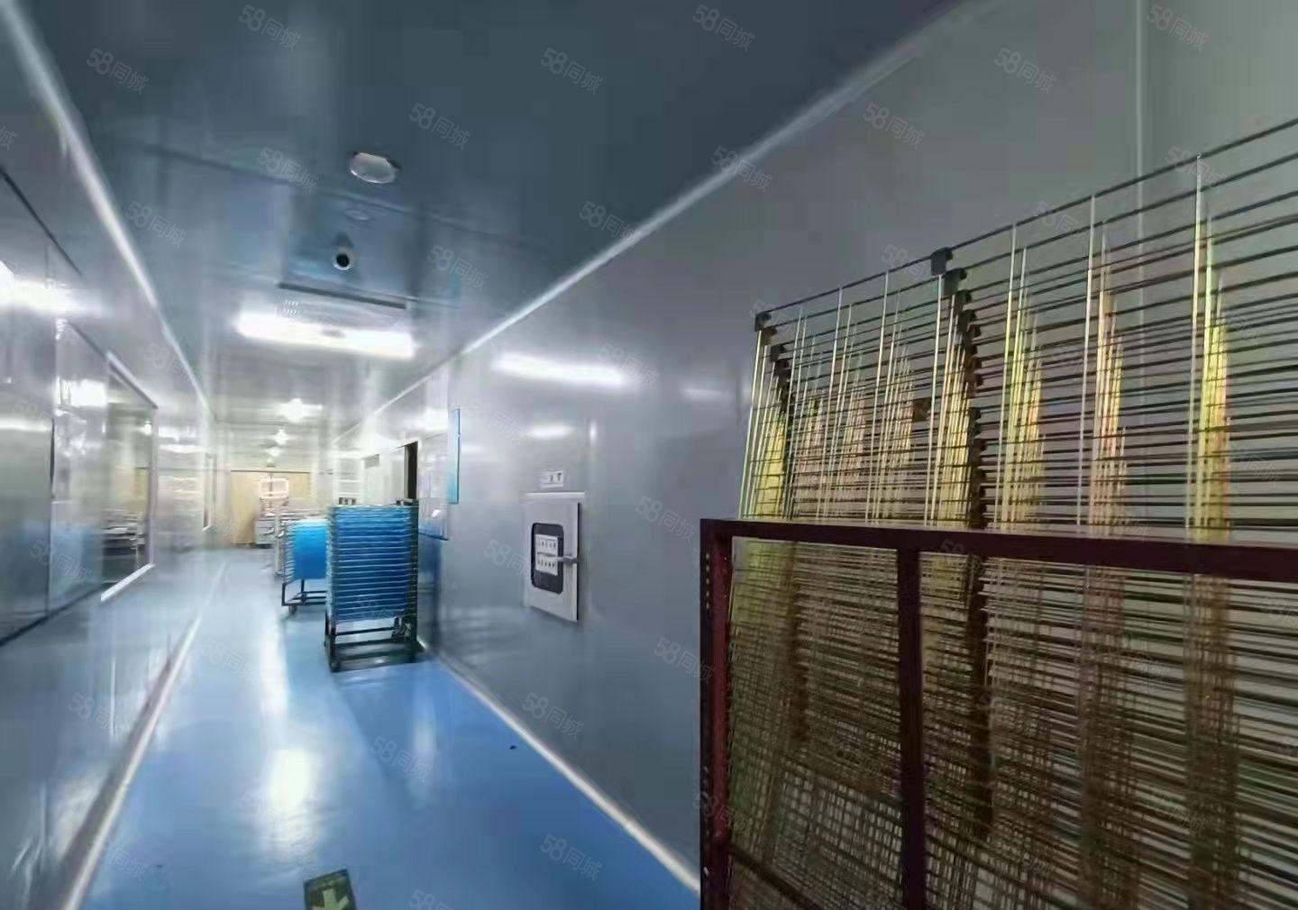 虎门怀德新出一楼1400平米，现成办公室无尘车间。