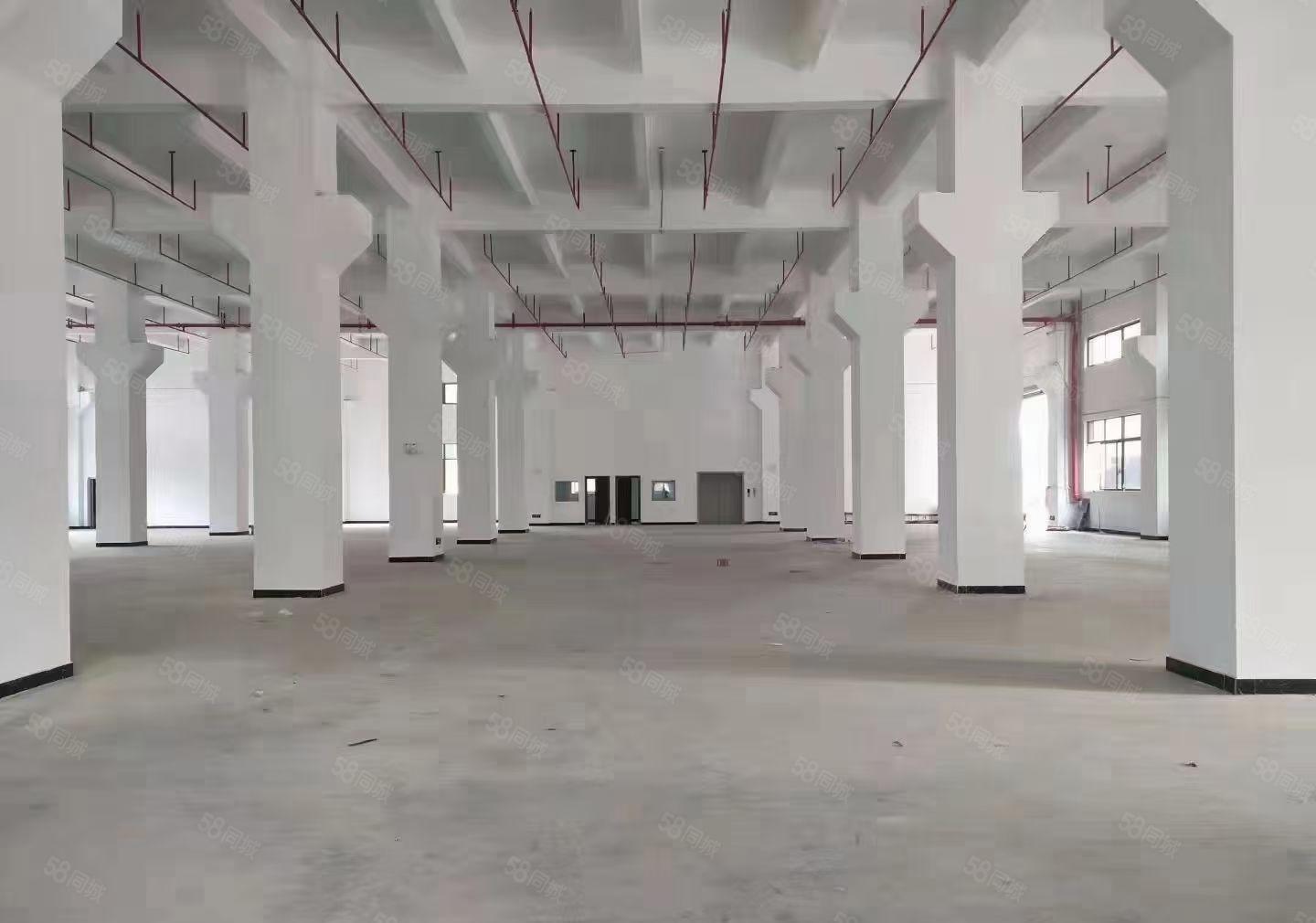 虎门新出原房东全新独院标准厂房证件齐全可分租