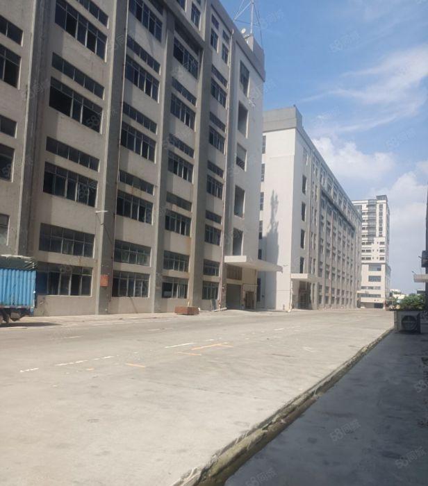 虎门镇靠深圳高速口新出7万平方标准厂房出租，大小可分租带红本