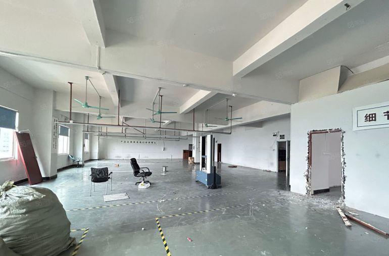 虎门厂房出租适合电子服装电商行业，带精装修园区形象好