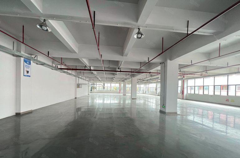 虎门树田200平起12元形象超好办公室地坪漆厂房仓库出租