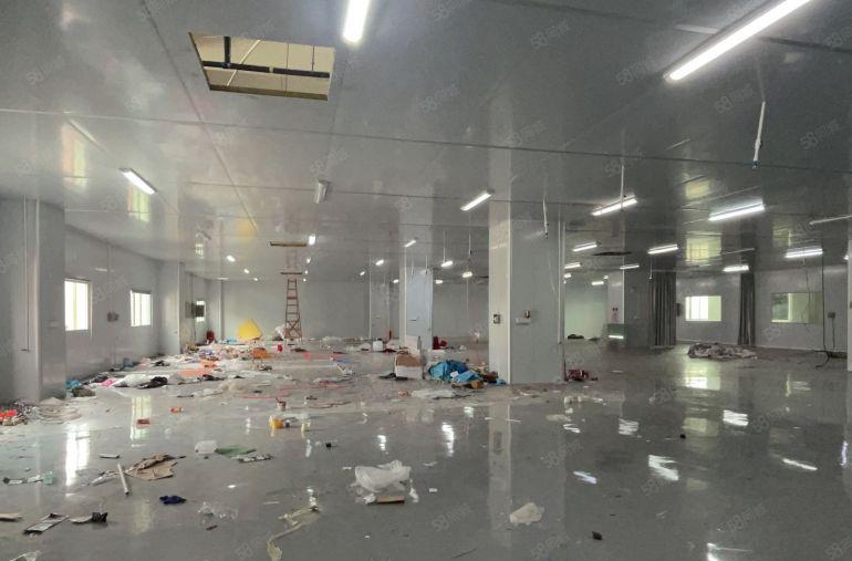 虎门镇怀德新出带豪华无尘车间厂房1600平方