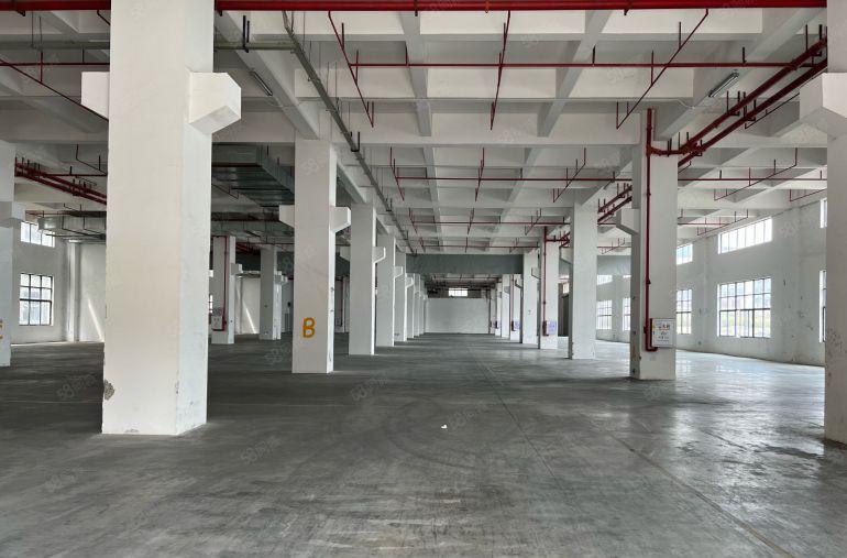 虎门8米高一楼带牛角，红本厂房，空地超大