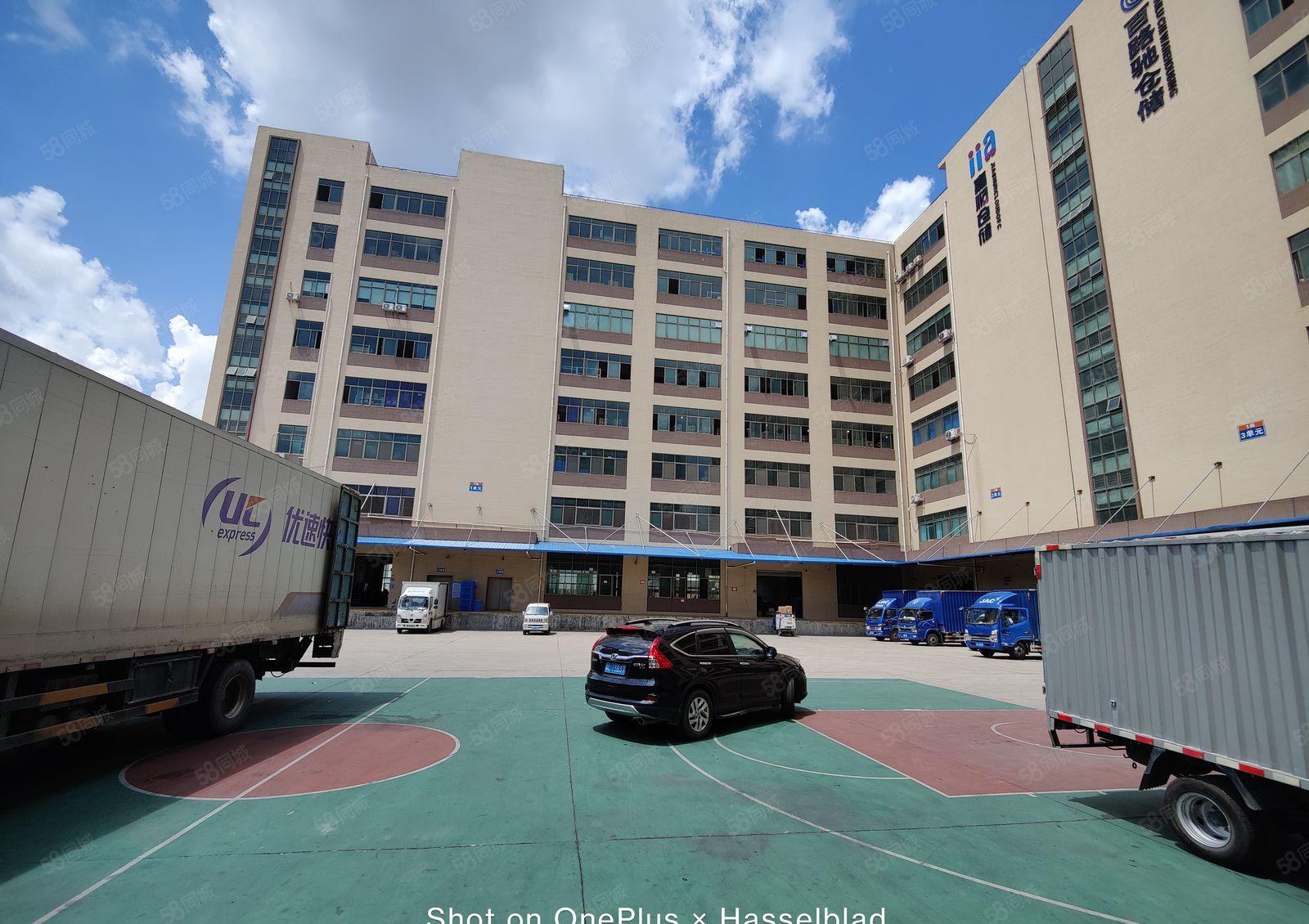 500起虎门临深2万平物流园仓库厂房出租标准卸货平台超大空地