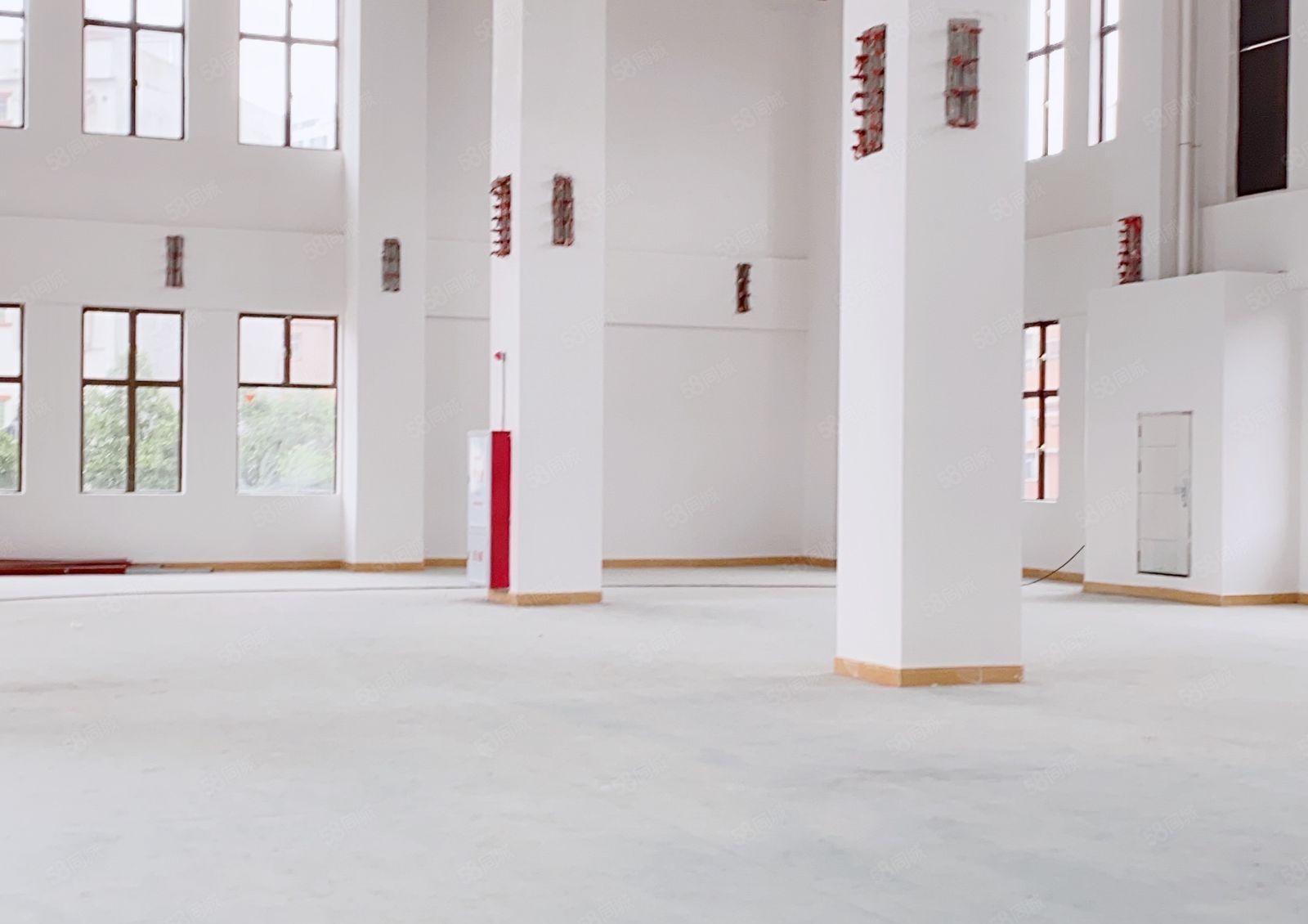 虎门新出原房东独门独院全新重工业厂房滴水10米空地大