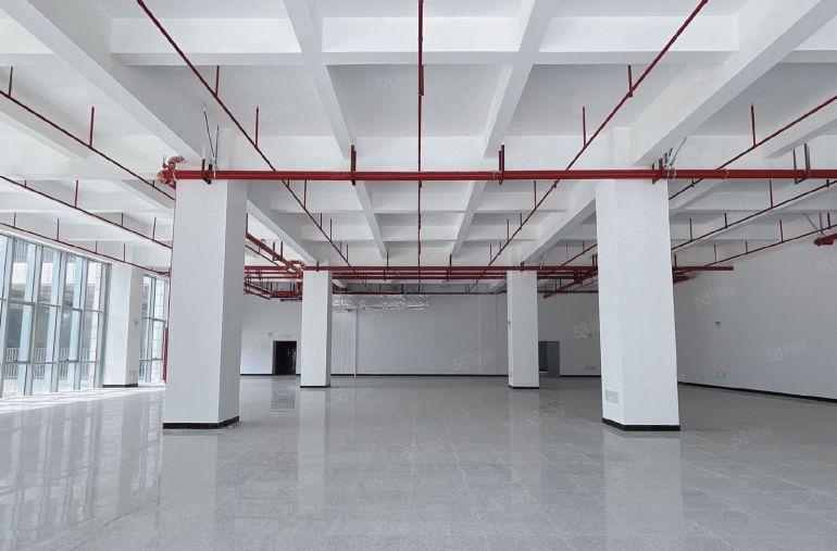 免租期3个月！虎门北柵全新厂房出租，5吨电梯，面积大小可分