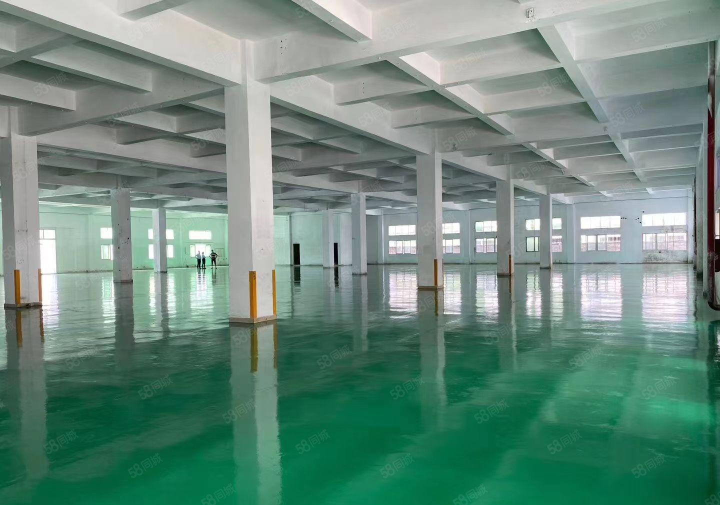 新出一楼厂房2000平6米高形象好空地大可分租可办环评