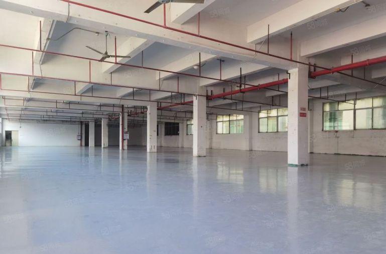 原房东9元起租！虎门新出豪华装修12000平米厂房出租可分租