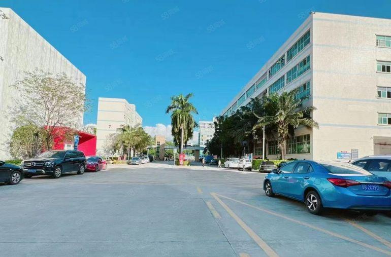 虎门镇赤岗社区楼上800平带红本，带消防喷淋低价厂房出租