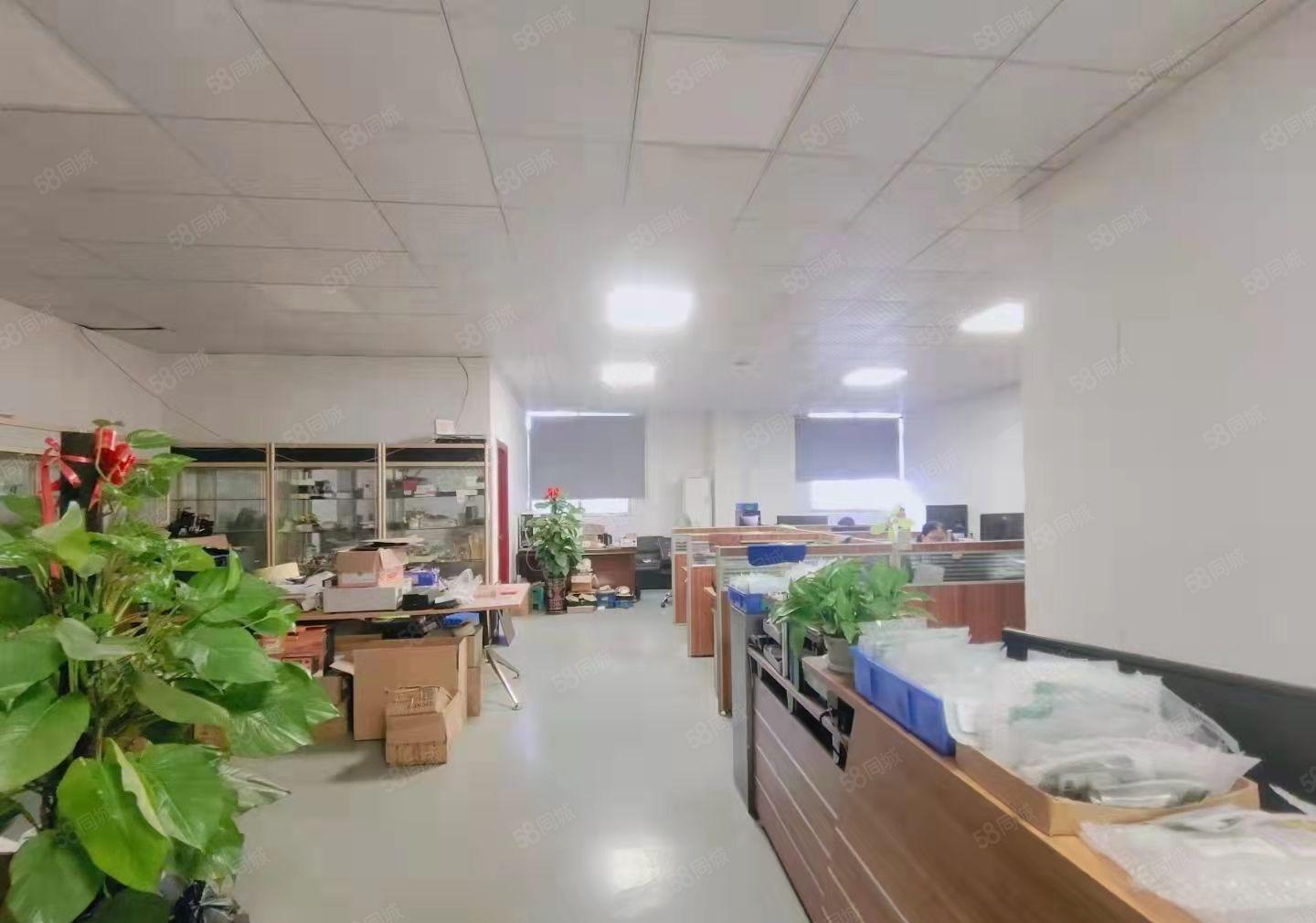 虎门怀德新空出楼上1160平，有需要的老板请联系我，谢谢。